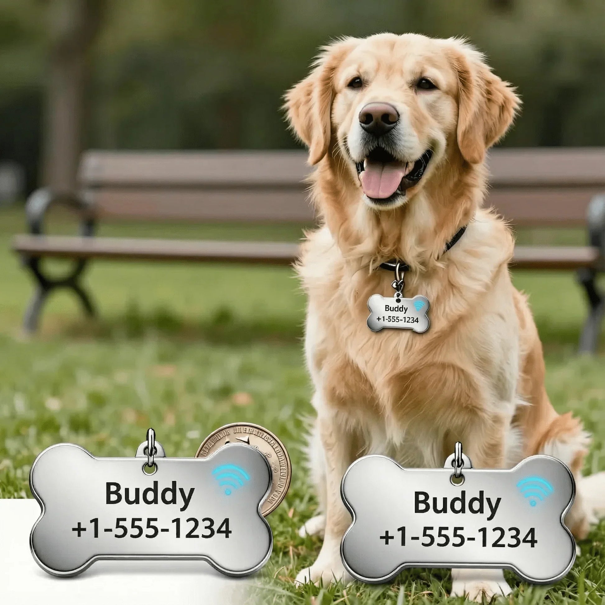 PawMarked™ Smart NFC Dog Tag | Custom QR Code & Laser Engraved ID (No App Required) - PawMarked