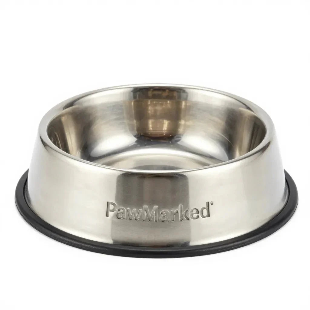 Personalized Stainless Steel Feeder Small - PawMarked - PawMarked