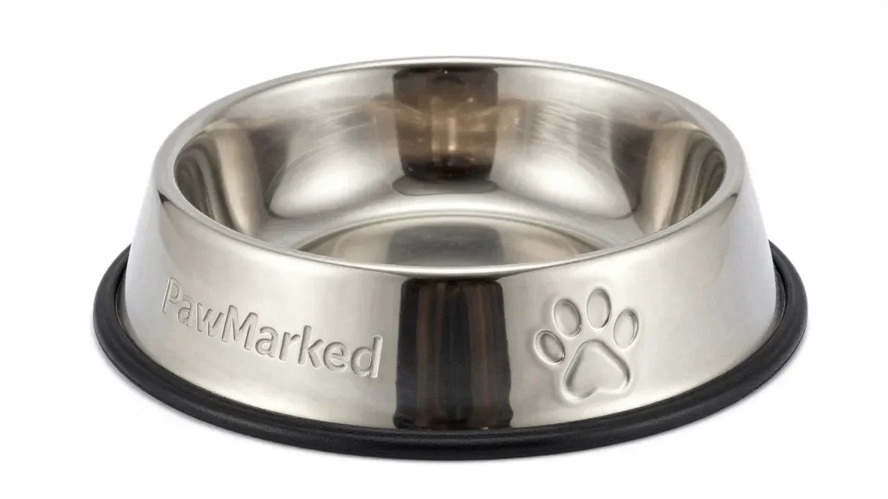 Personalized Stainless Steel Feeder Small - PawMarked - PawMarked